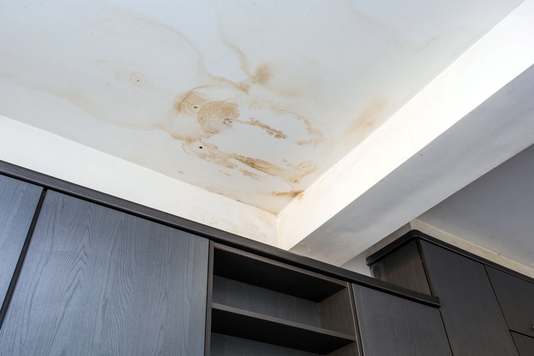 Preventing Water Damage: How to Spot Leaks Early