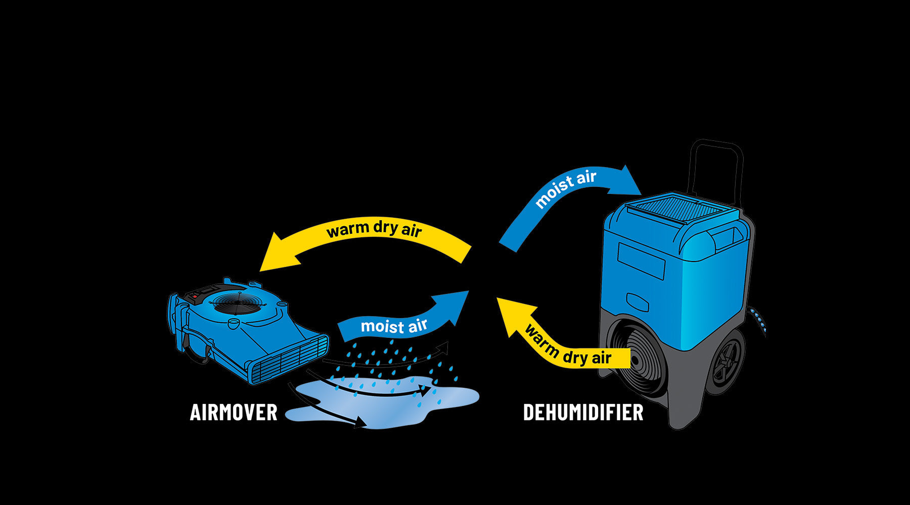 Unlocking the Power of Humidity, Airflow, and Temperature