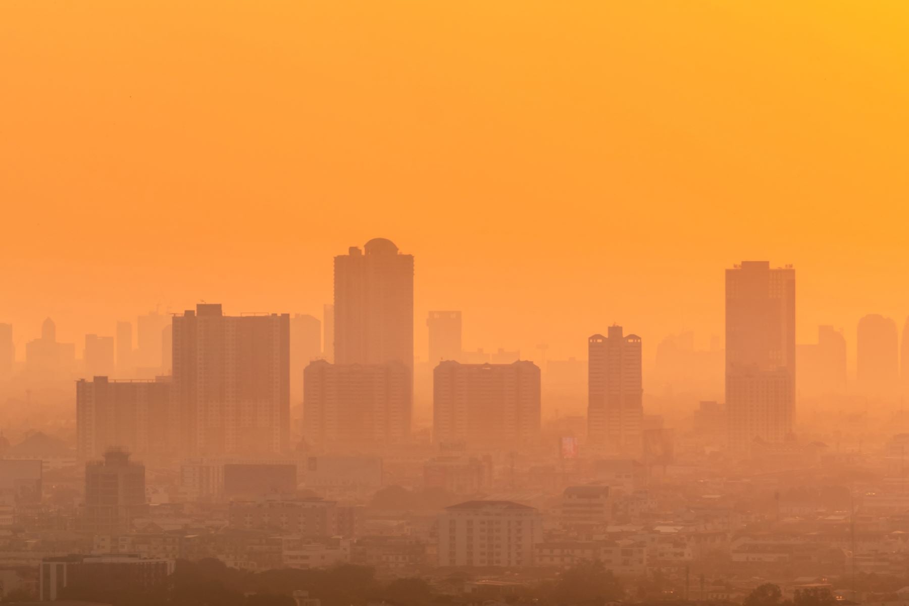 Wildfire Smoke and IAQ: Air Filtration Strategies for Facilities