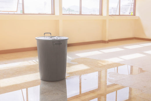 Frequent Water Damages: The Hidden Costs to Your Facility